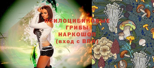 apvp Лихославль