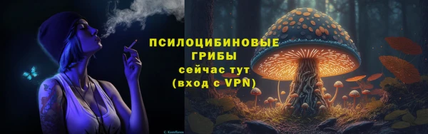 apvp Лихославль