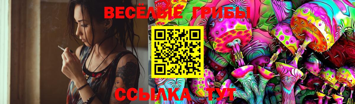 Псилоцибиновые грибы GOLDEN TEACHER Миасс