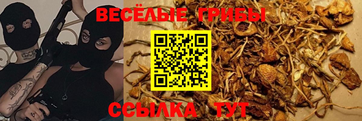 Codein Миасс