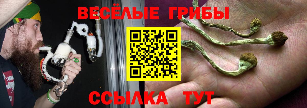 Галлюциногенные грибы Psilocybine cubensis  Галлюциногенные грибы ЛСД  где купить наркотик  Миасс 